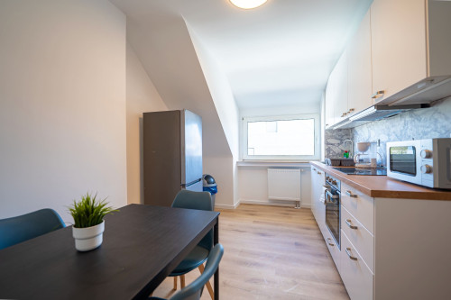 Modern Studio Apartment – 61 m² Near the City Center in Remscheid – Fully Furnished, No Deposit, Cleaning Service, City Registration! - Gallery - 5