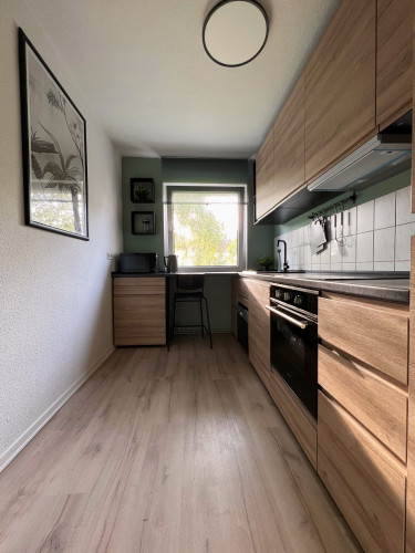 Fully equipped and furnished apartment in Jena City of lights "Urban Jungle"