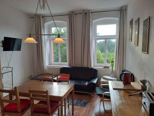 charming flat Mühle 3 in centrum of Chemnitz