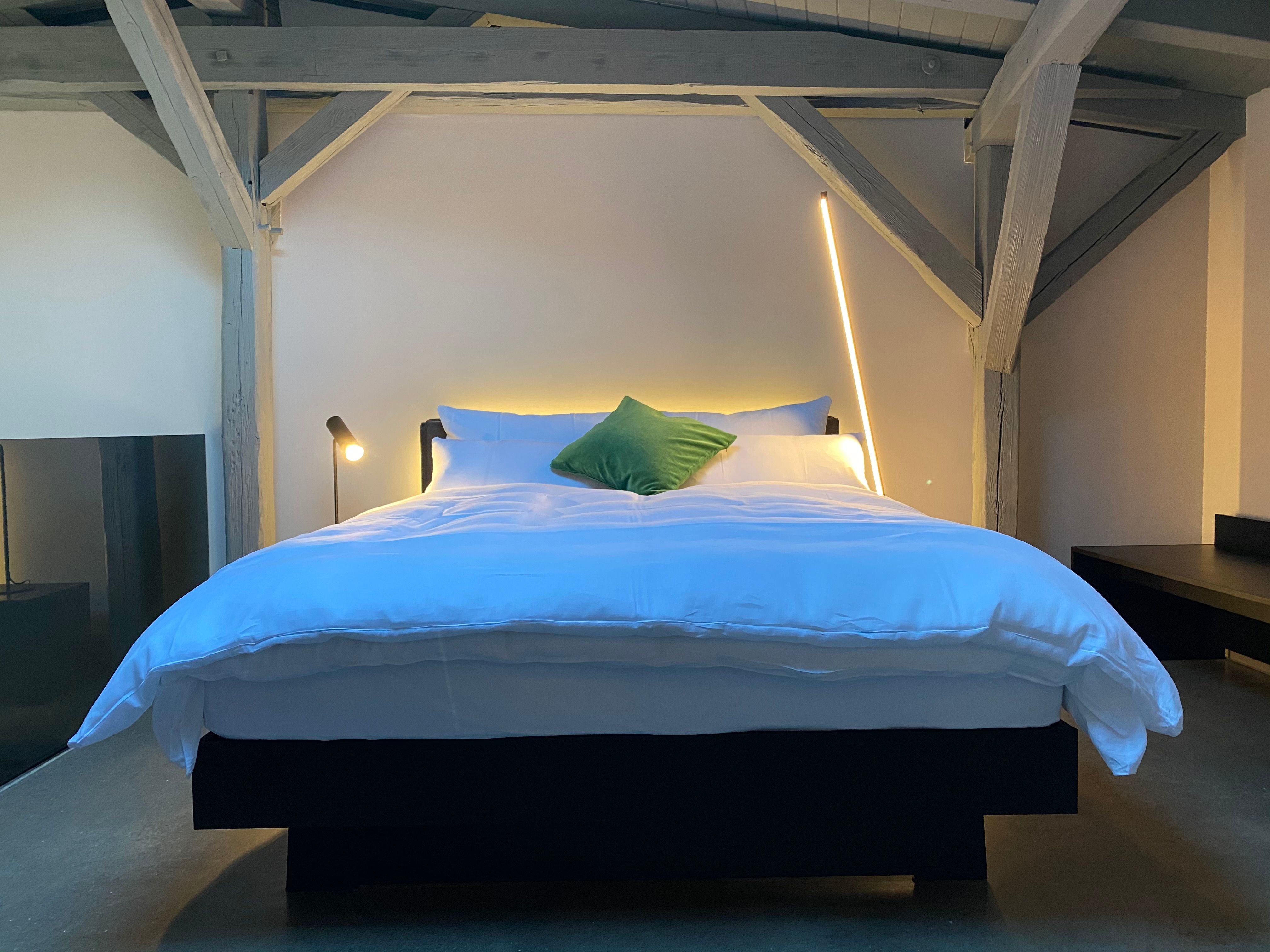 Serviced 40 Sqm Design Loft With Gallery In GT Isselhorst - Serviced 40 sqm design loft with gallery in GT Isselhorst - Gallery - 1