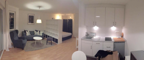 Modern studio apartment, centrally located in Offenbach - Gallery - 3