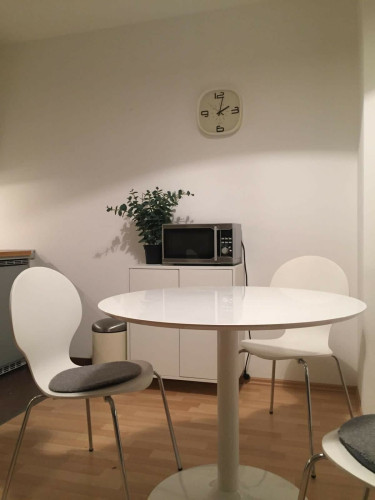 Modern studio apartment, centrally located in Offenbach - Gallery - 9