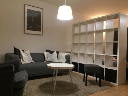 Modern studio apartment, centrally located in Offenbach - Gallery - 2