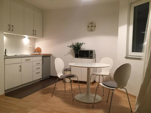Modern studio apartment, centrally located in Offenbach - Gallery - 8