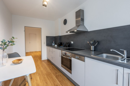 Modern, perfect home (Duisburg) - Gallery - 5