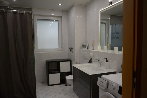 Exclusive furnished flat e in Ludwigshafen-Friesenheim