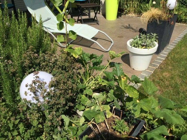 Junior Suite With Terrace/garden, Near Station Incl. Wifi, Washing Mach., Terrace - Junior Suite with terrace/garden, near station incl. Wifi, washing mach., terrace - Gallery - 31