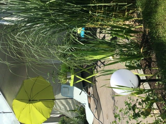 Junior Suite With Terrace/garden, Near Station Incl. Wifi, Washing Mach., Terrace - Junior Suite with terrace/garden, near station incl. Wifi, washing mach., terrace - Gallery - 29