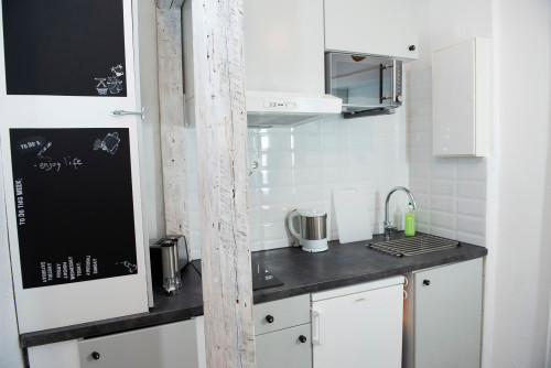 Renovated art nouveau flat