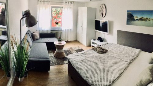 Lovely & beautiful studio in Karlsruhe