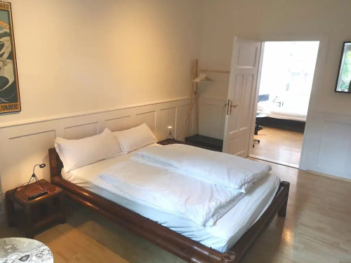 Spacious apartment with high ceilings in Town center