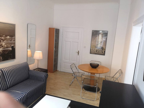 Spacious apartment with high ceilings in Town center
