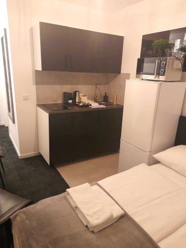 Comfortable studio with double bed in Bonn - Gallery - 15