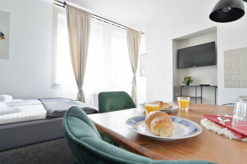 Comfortable studio with double bed in Bonn - Gallery - 16