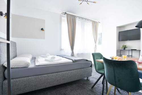 Comfortable studio with double bed in Bonn - Gallery - 22
