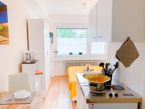 Fashionable and quiet suite (Aachen)