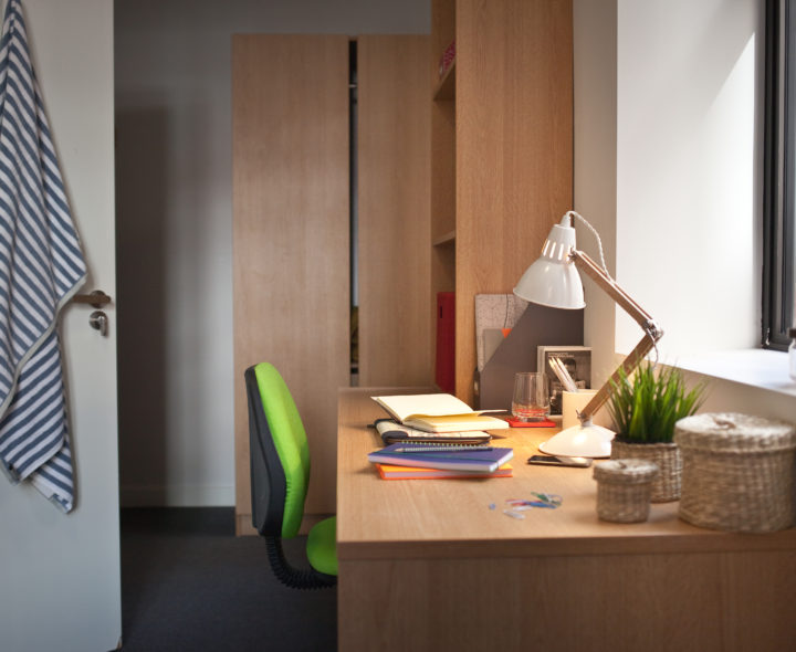 Classic Smaller Studio - Algernon Firth - Gallery - 2