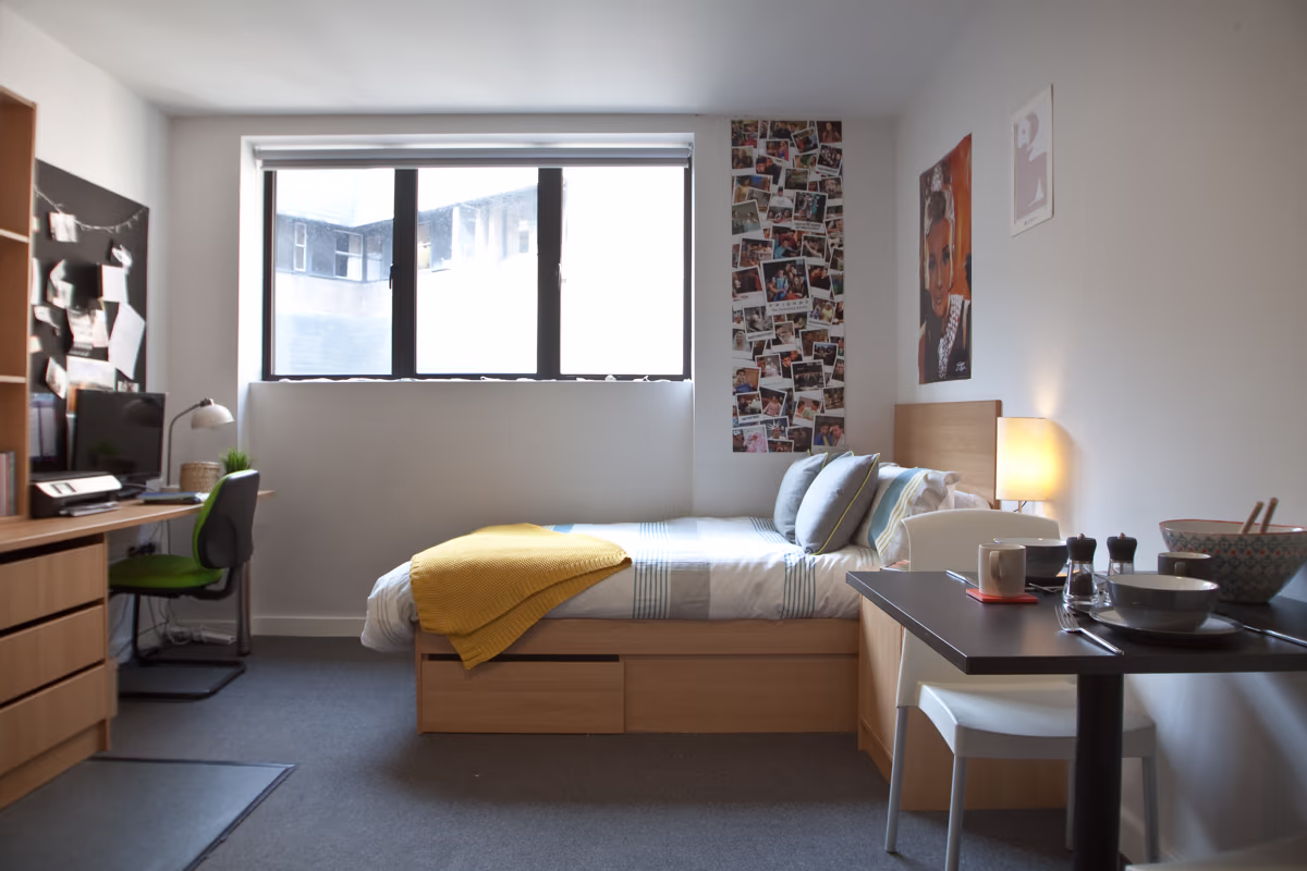  Classic Studio  -  Algernon Firth  - Gallery -  1