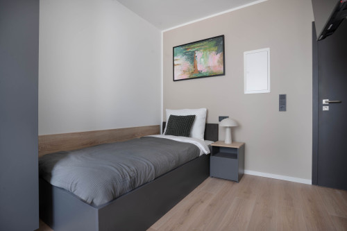 Awesome & quiet single bed studio in Bonn - Gallery - 14
