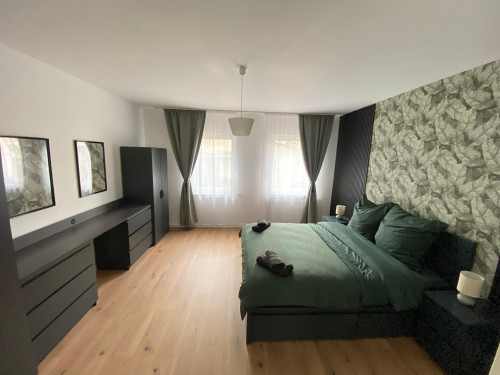 New, beautiful apartment in Trier