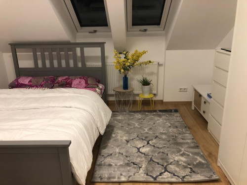 New furnished cosy apartment next to Siemens new Campus.