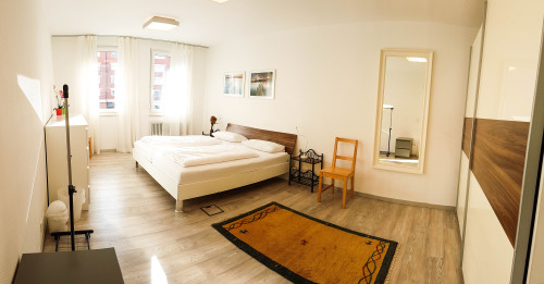 Great, new apartment (Heidelberg)