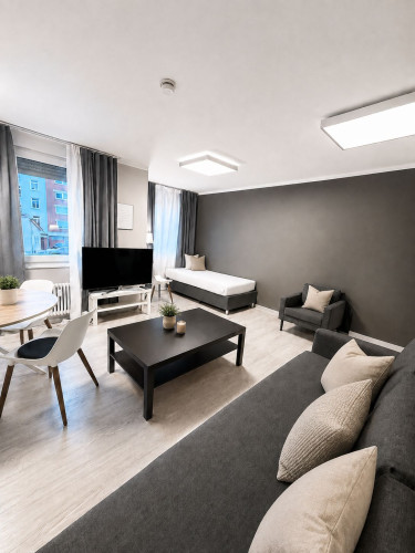Great, new apartment (Heidelberg) - Gallery - 4