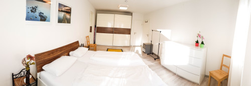 Great, new apartment (Heidelberg)