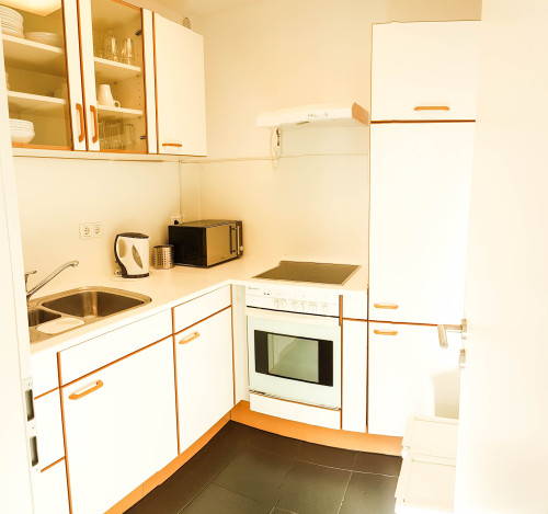 Great, new apartment (Heidelberg) - Gallery - 6