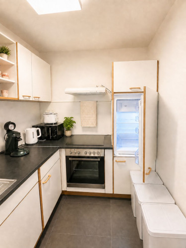 Great, new apartment (Heidelberg) - Gallery - 9