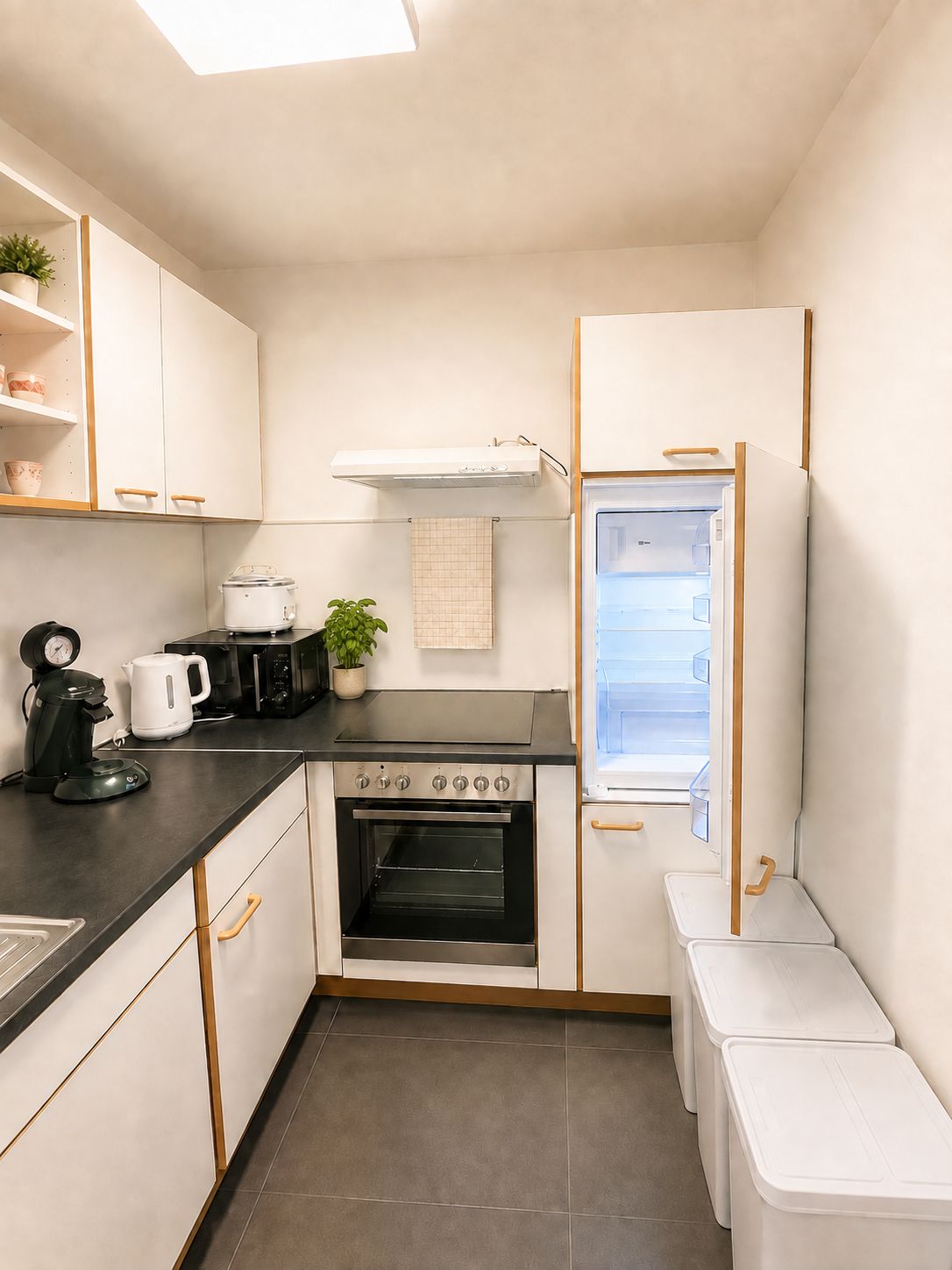 Great, New Apartment (Heidelberg) - 7