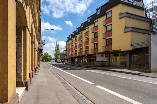Amazing, charming studio in Trier