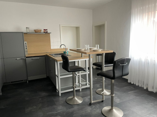 M&M Apartment Düsselorf "Biene"