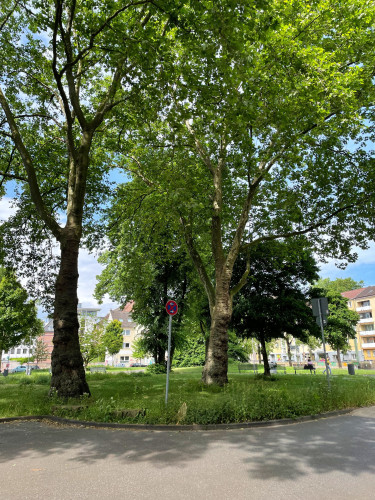 Fantastic studio apartment in the center of Duisburg Neudorf with Wifi and Netflix