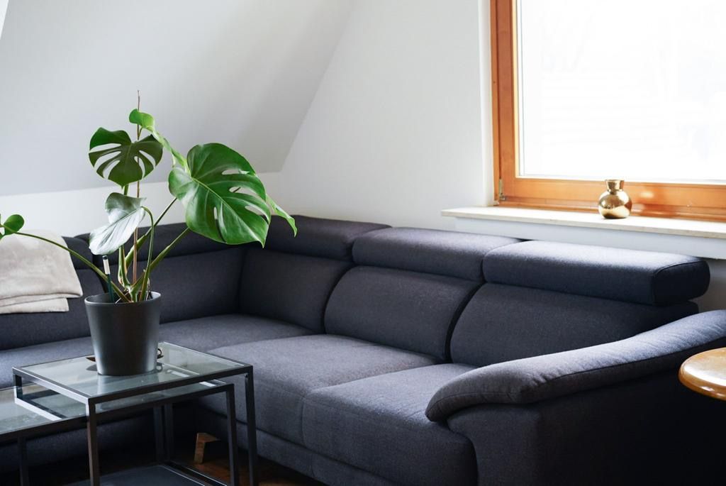 Close To ICE-Station & Nice Studio, Siegburg - Close to ICE-Station & nice studio, Siegburg - Gallery - 3