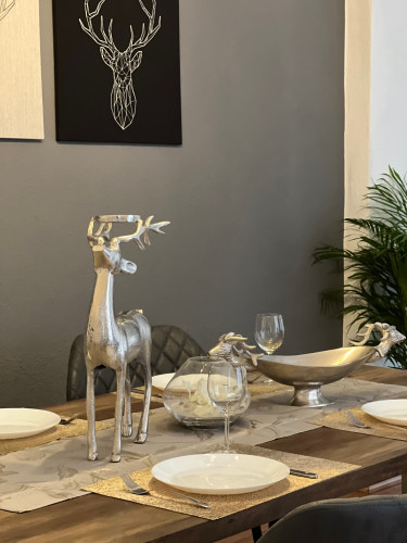 Modern flat in the centre of Magdeburg fully equipped with terrace - Gallery - 6