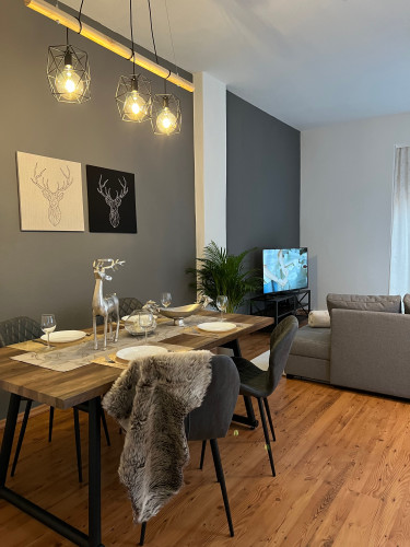 Modern flat in the centre of Magdeburg fully equipped with terrace