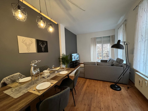 Modern flat in the centre of Magdeburg fully equipped with terrace