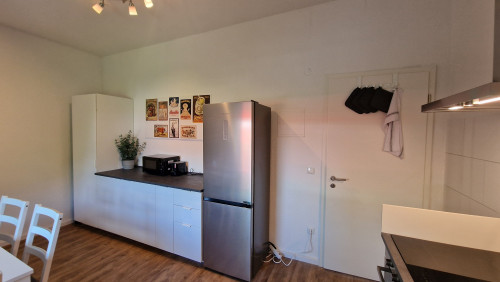Elfriede5: fashionable renovated quiet home in GE for rent