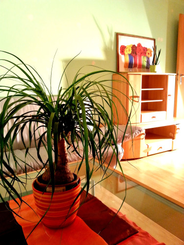Deluxe apartment in Nürnberg "West City Living Apartment" - Gallery - 27