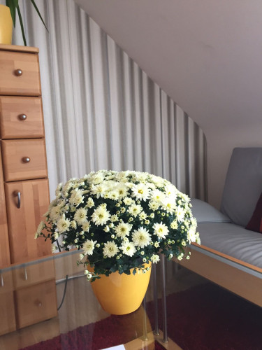 Deluxe apartment in Nürnberg "West City Living Apartment" - Gallery - 7