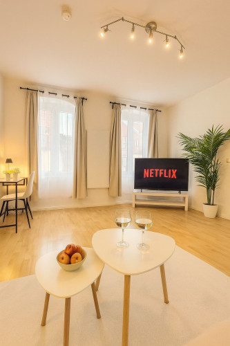 Cosy modern apartment located in Magdeburg