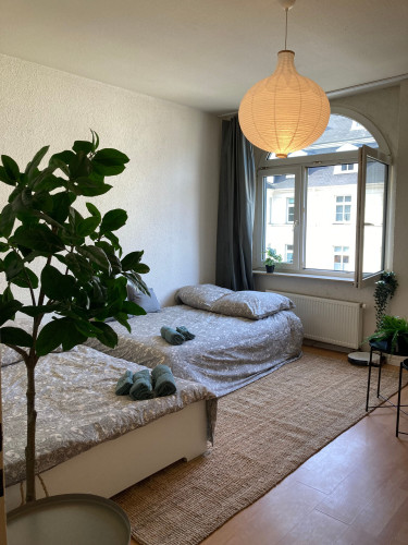 Efficient beautiful apartment, 8min bus central station (Wuppertal)