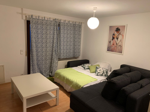 Bright 1-room apartment with balcony in Stuttgart Hedelfingen - Gallery - 23