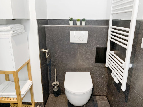 Fully furnished 2-room apartment with 2 balconies in a top location - close to train station and River Rhine
