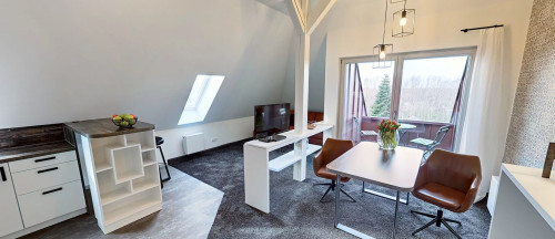 Comfort Plus Apartment