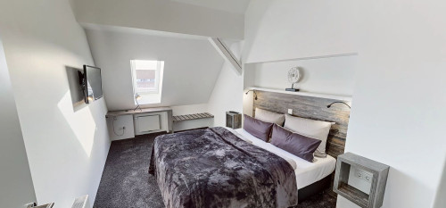 Comfort Plus Apartment - Gallery - 7