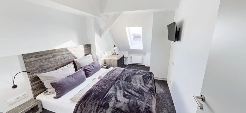 Comfort Plus Apartment - Gallery - 6