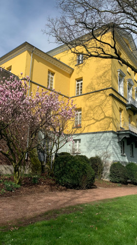 Modern apartment (Krefeld)