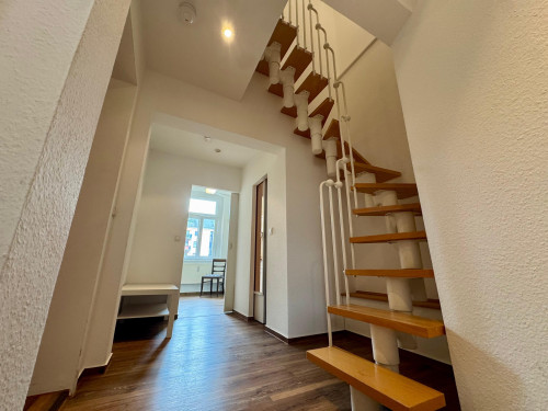 Big maisonette flat in Citycenter of Chemnitz